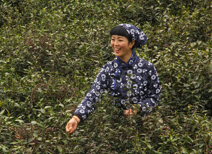 堕落天使